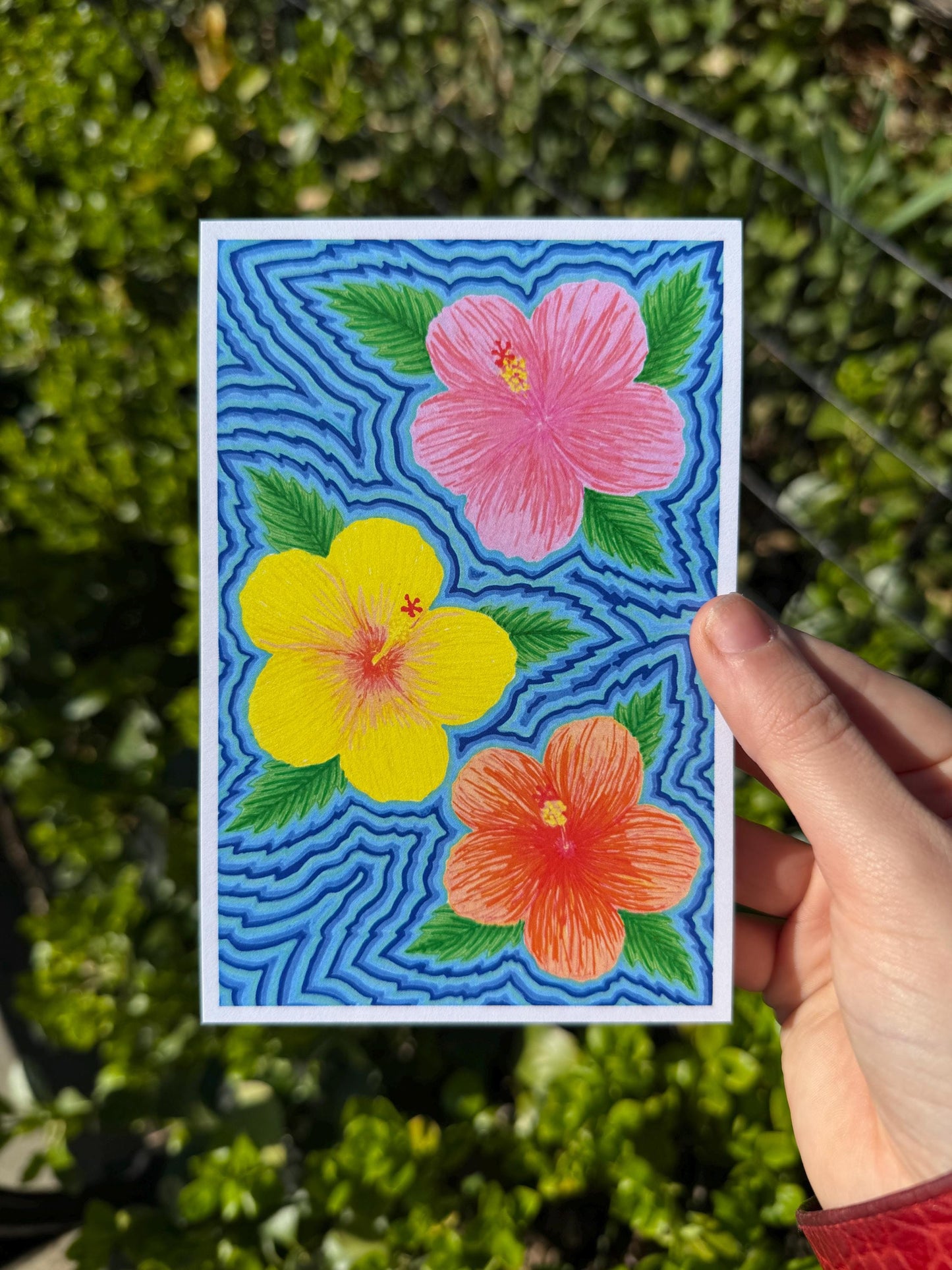 Tropical Hibiscus Flower Art Print