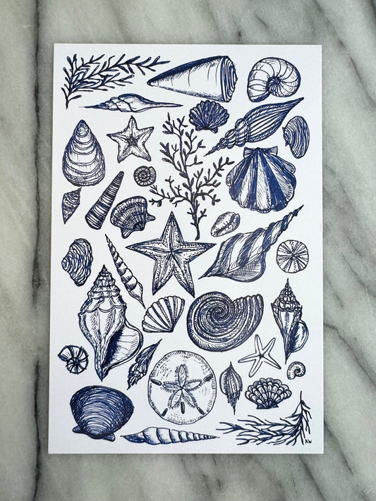 Blue Seashells Collage Art Print