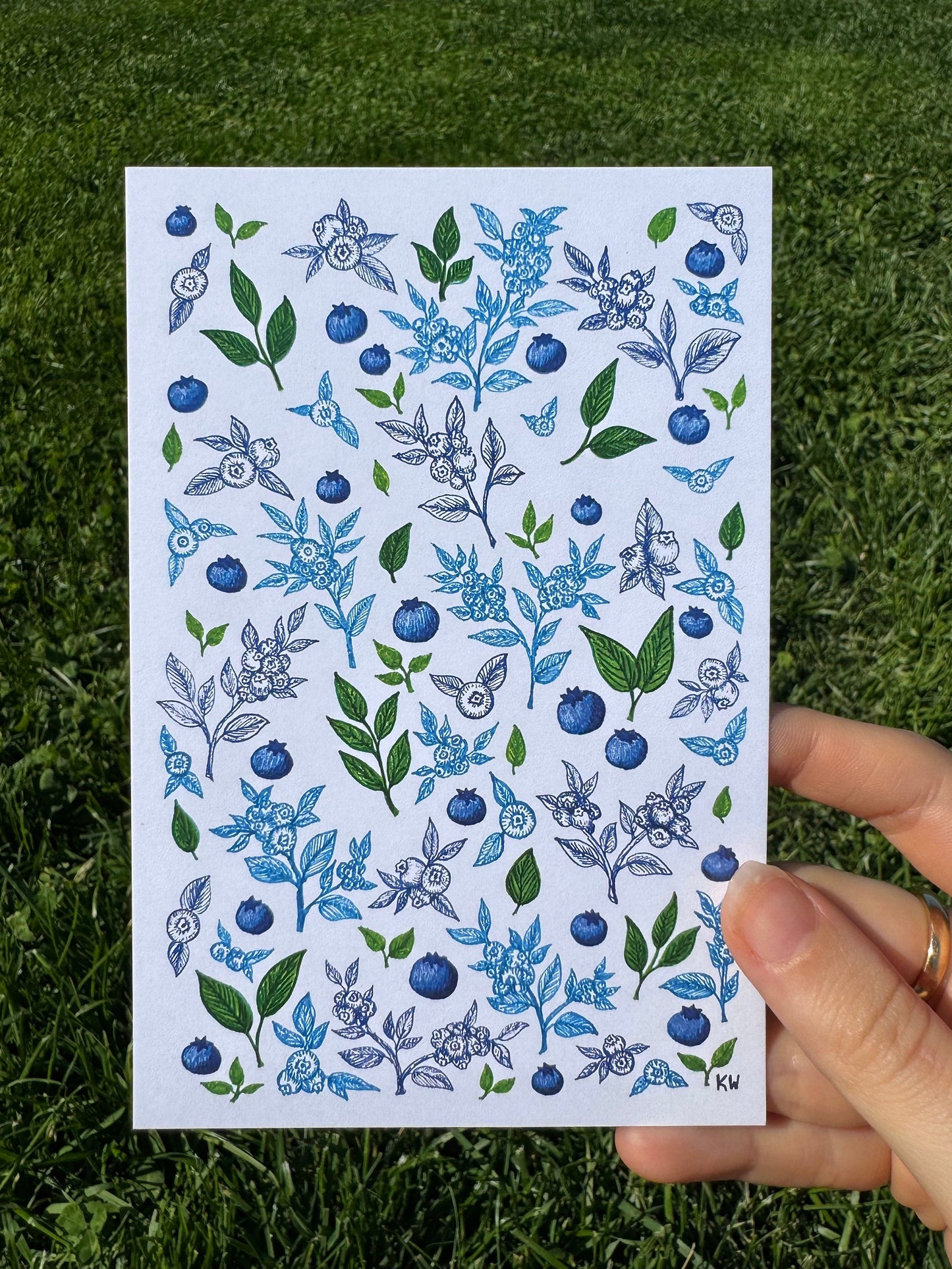 Blueberries Art Prints