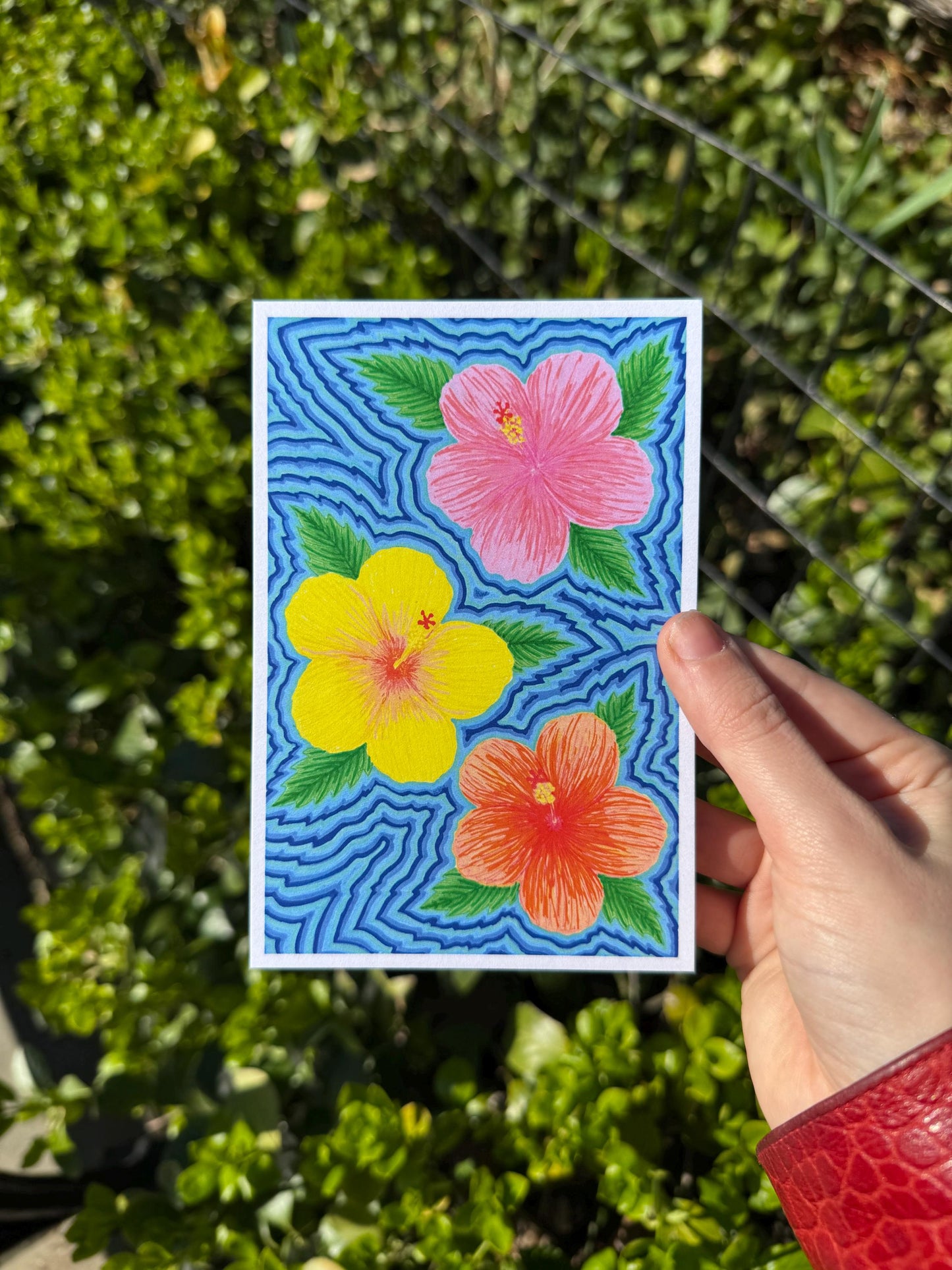 Tropical Hibiscus Flower Art Print