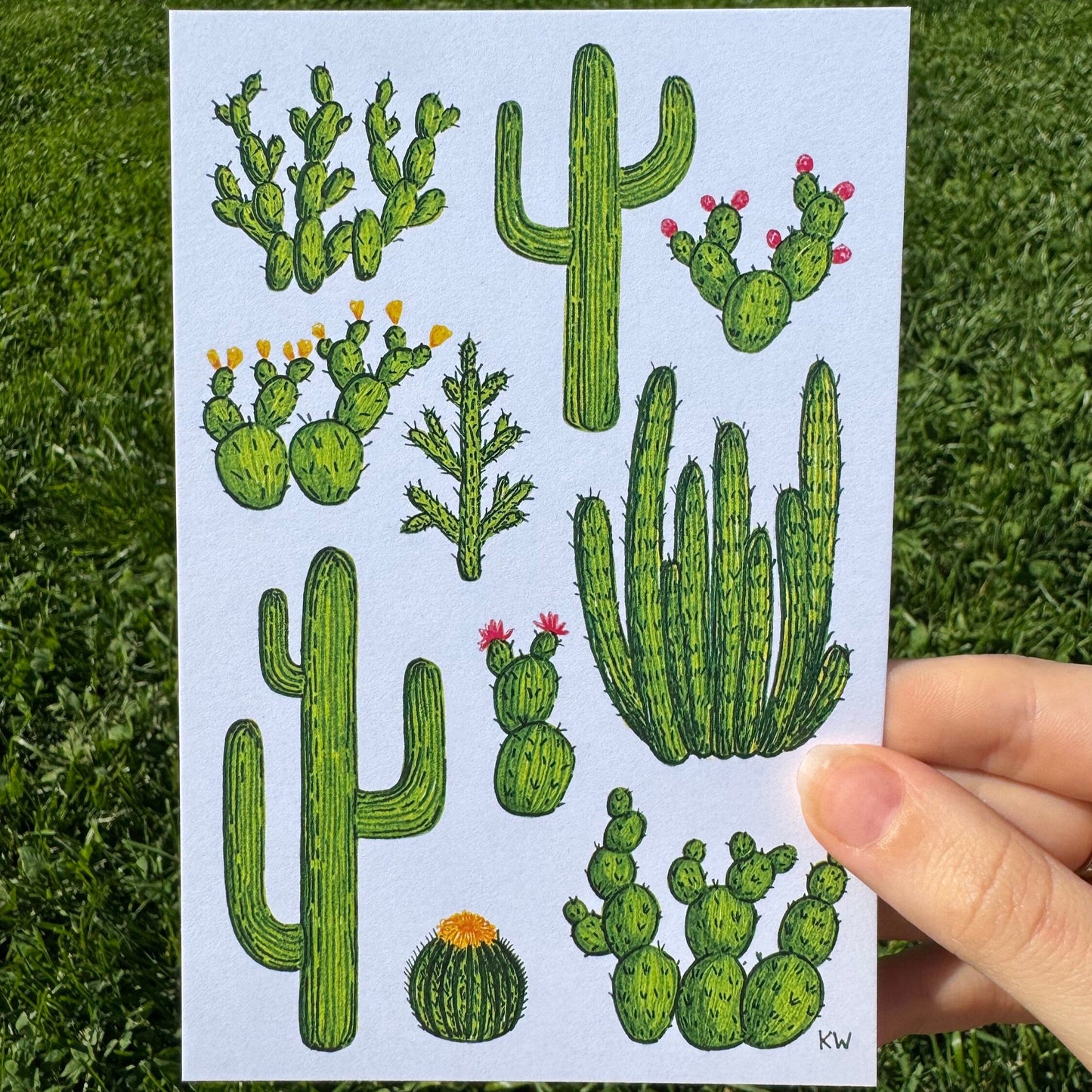 Cacti Collage Art Print