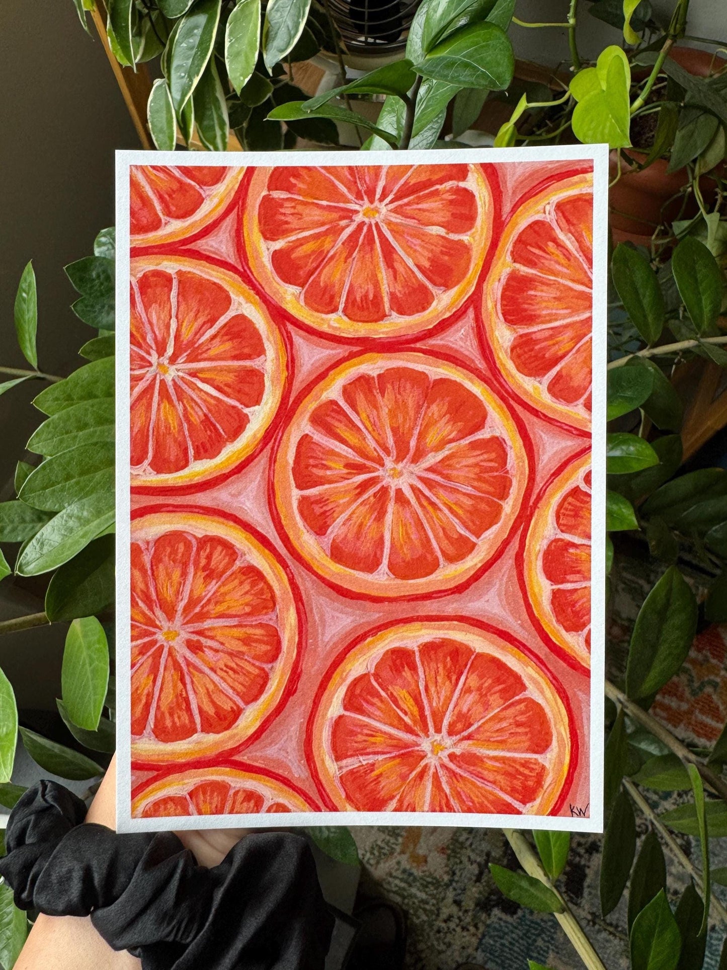 Painted Citrus Art Print Bundle of 4