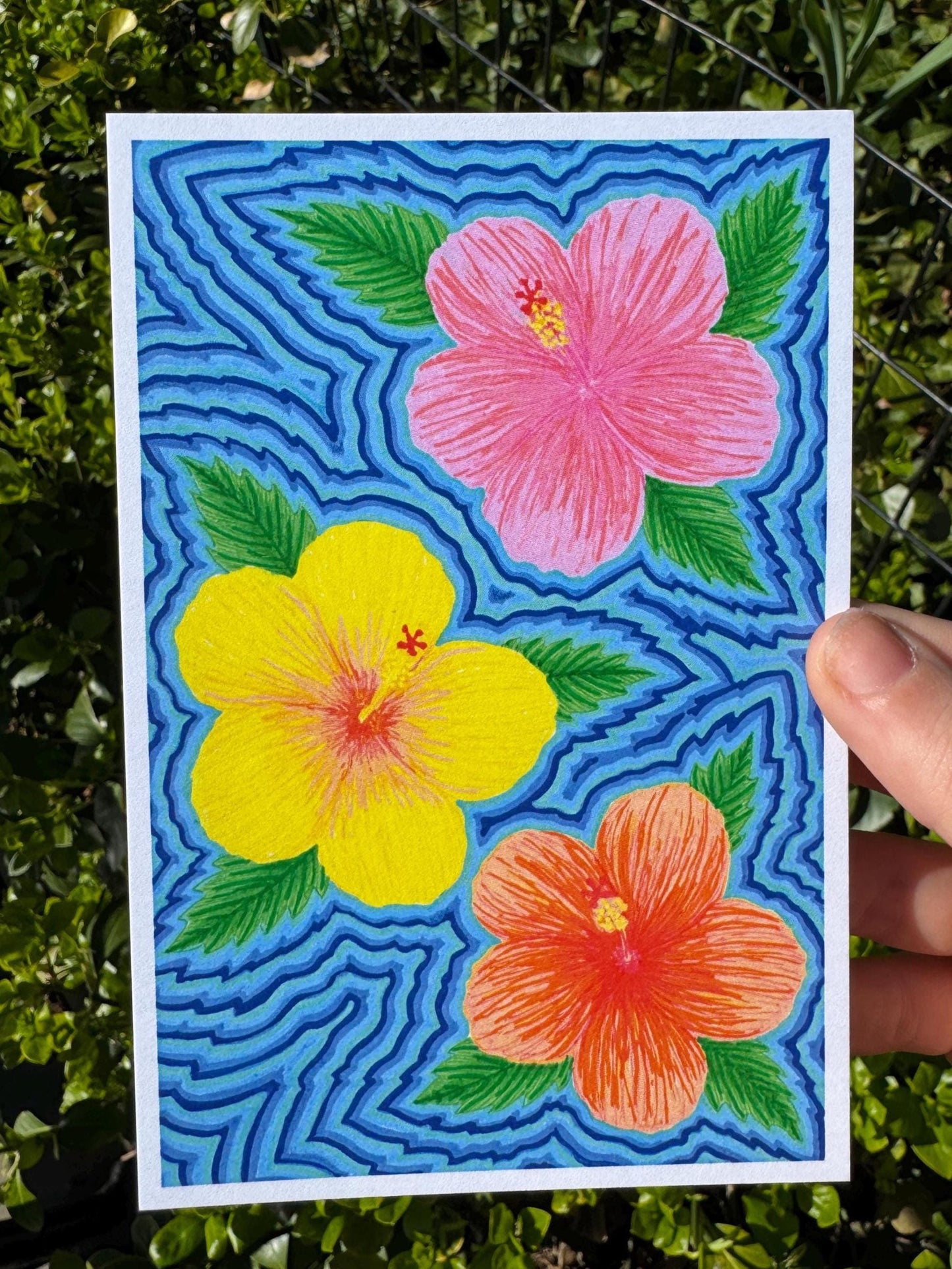 Tropical Hibiscus Flower Art Print