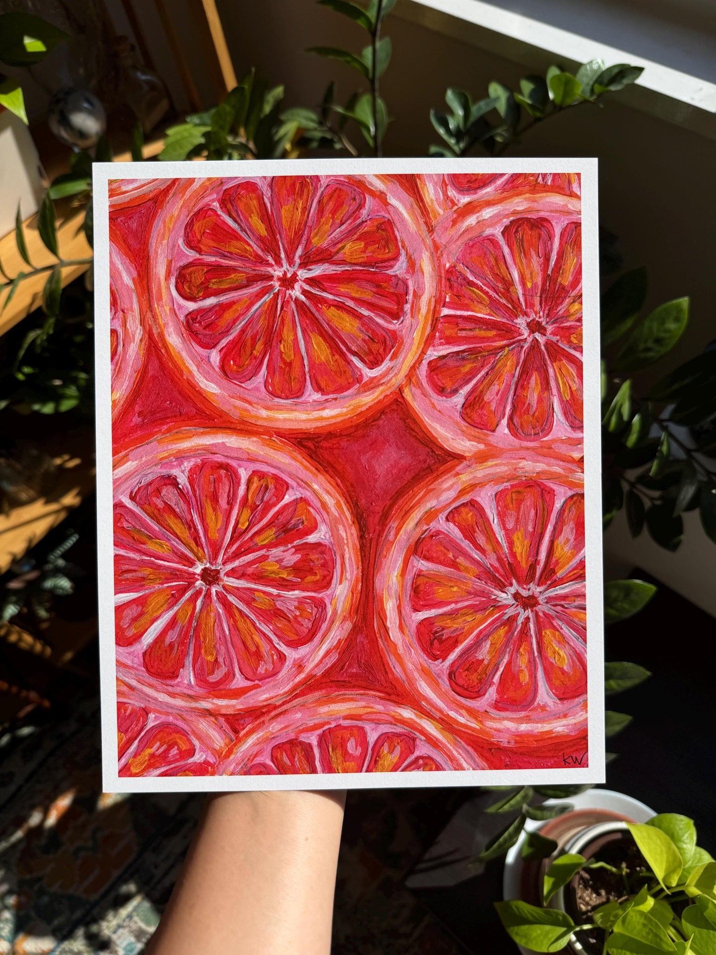 Grapefruit Slices Art Print