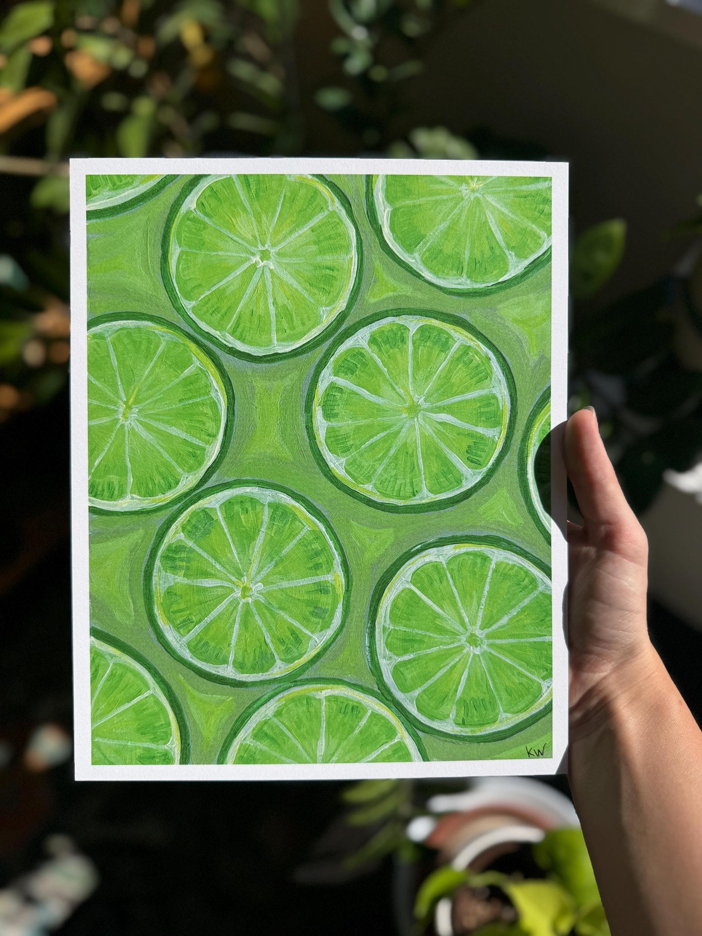 Lime Slices Art Print