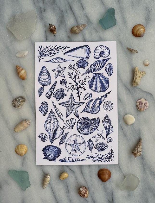 Blue Seashells Collage Art Print