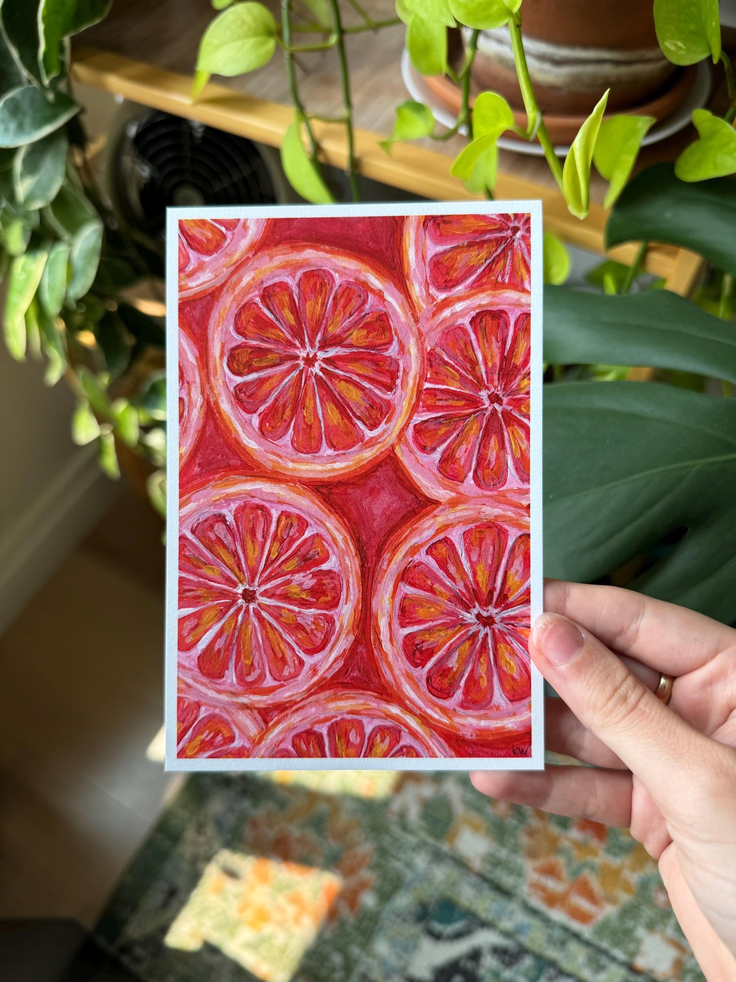 Grapefruit Slices Art Print