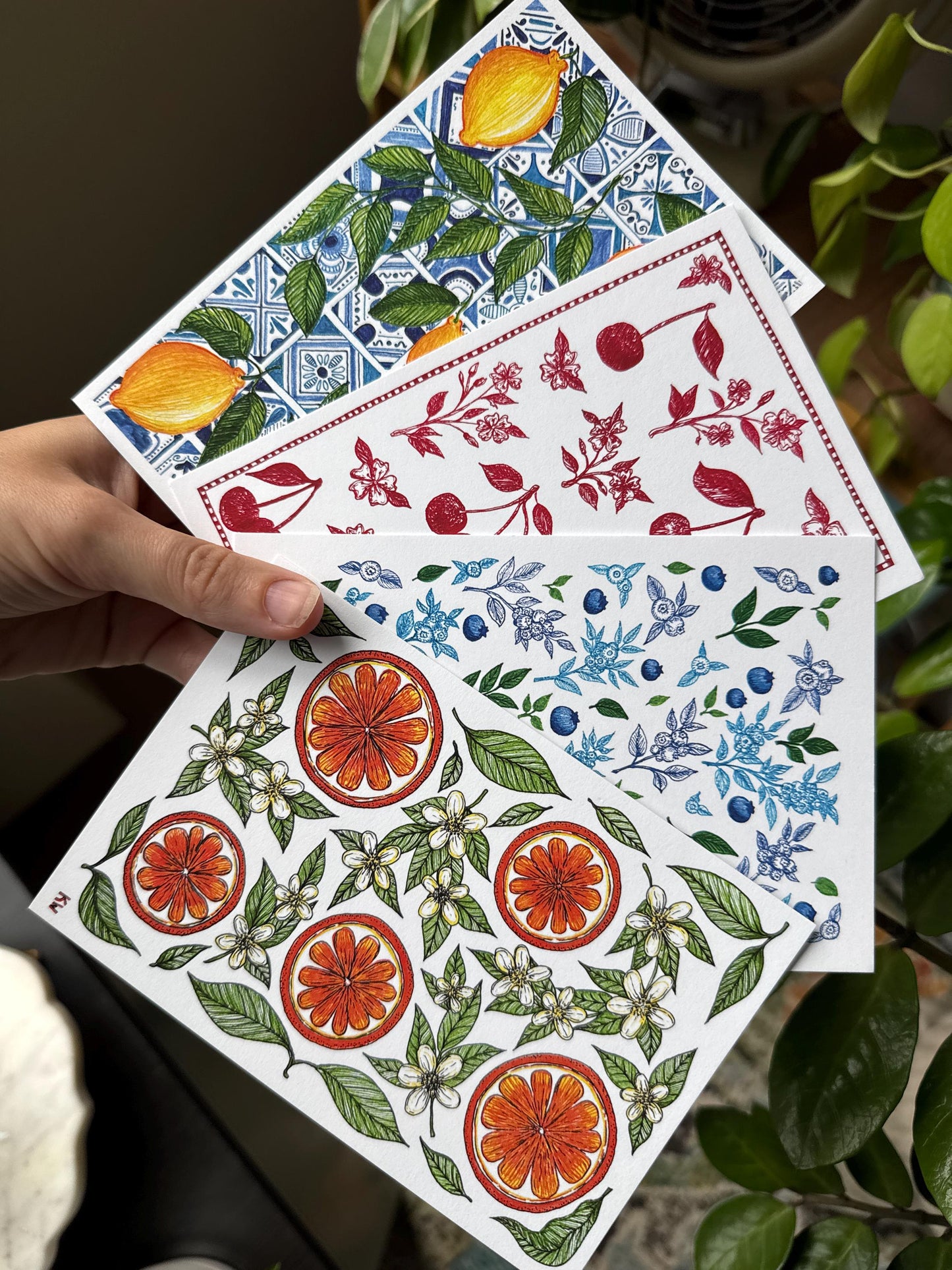 Fruit Art Prints Bundle of 4