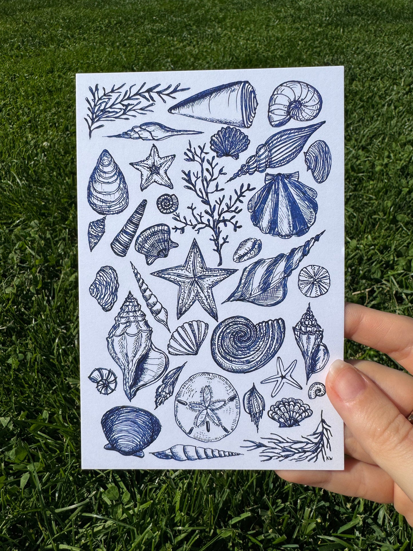 Blue Seashells Collage Art Print