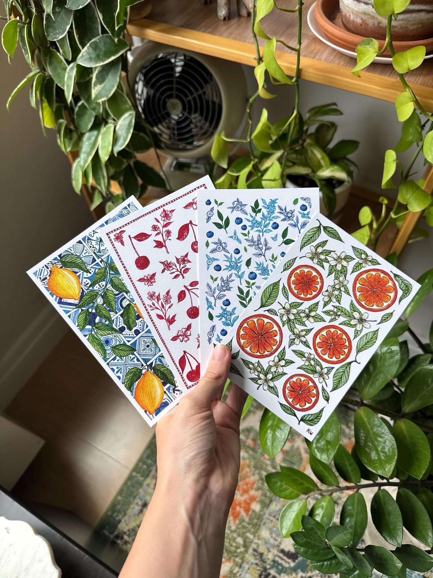 Fruit Art Prints Bundle of 4