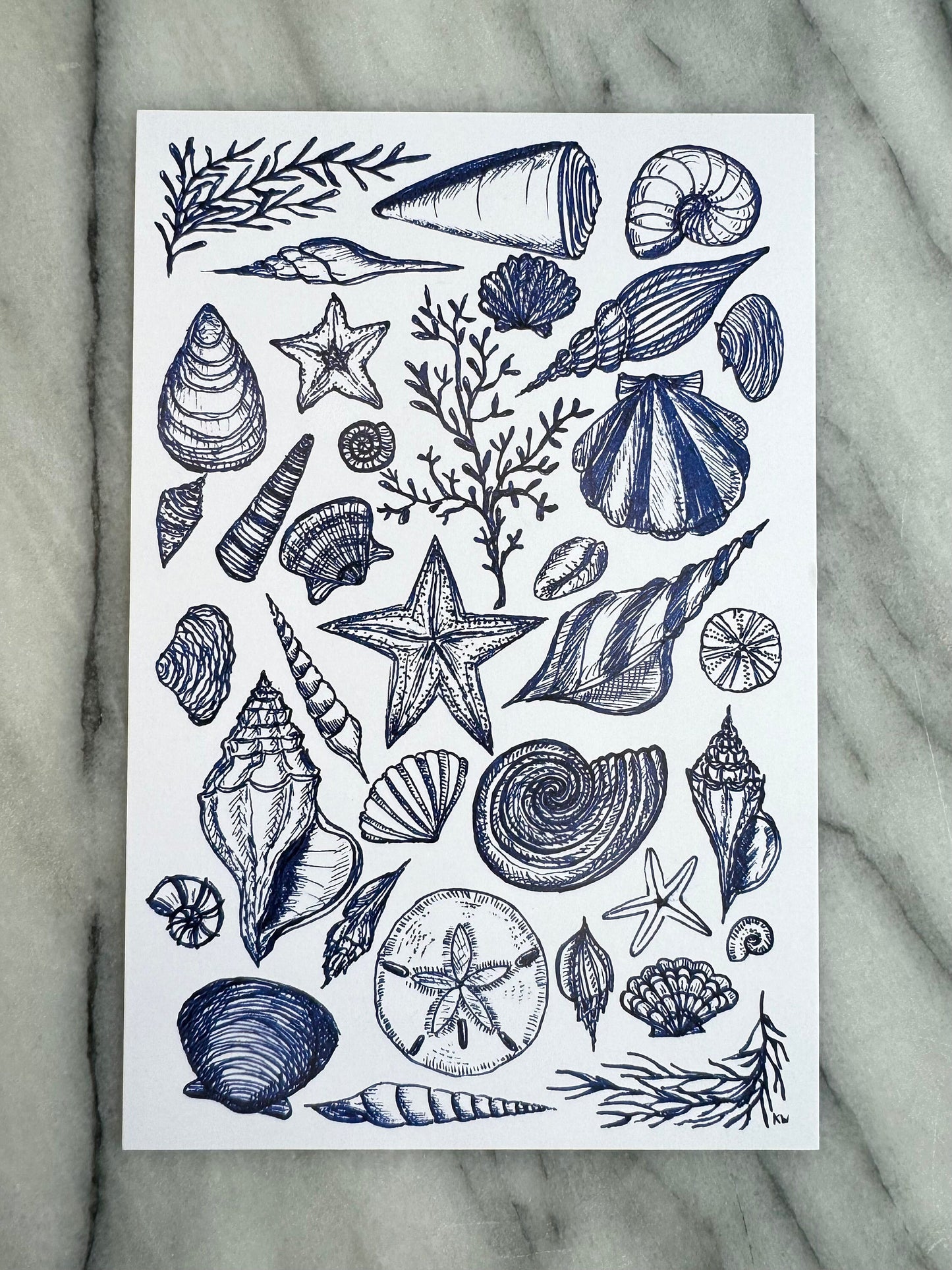 Blue Seashells Collage Art Print