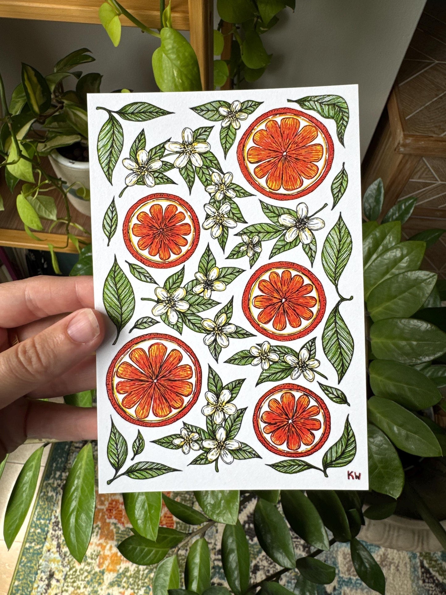 Fruit Art Prints Bundle of 4