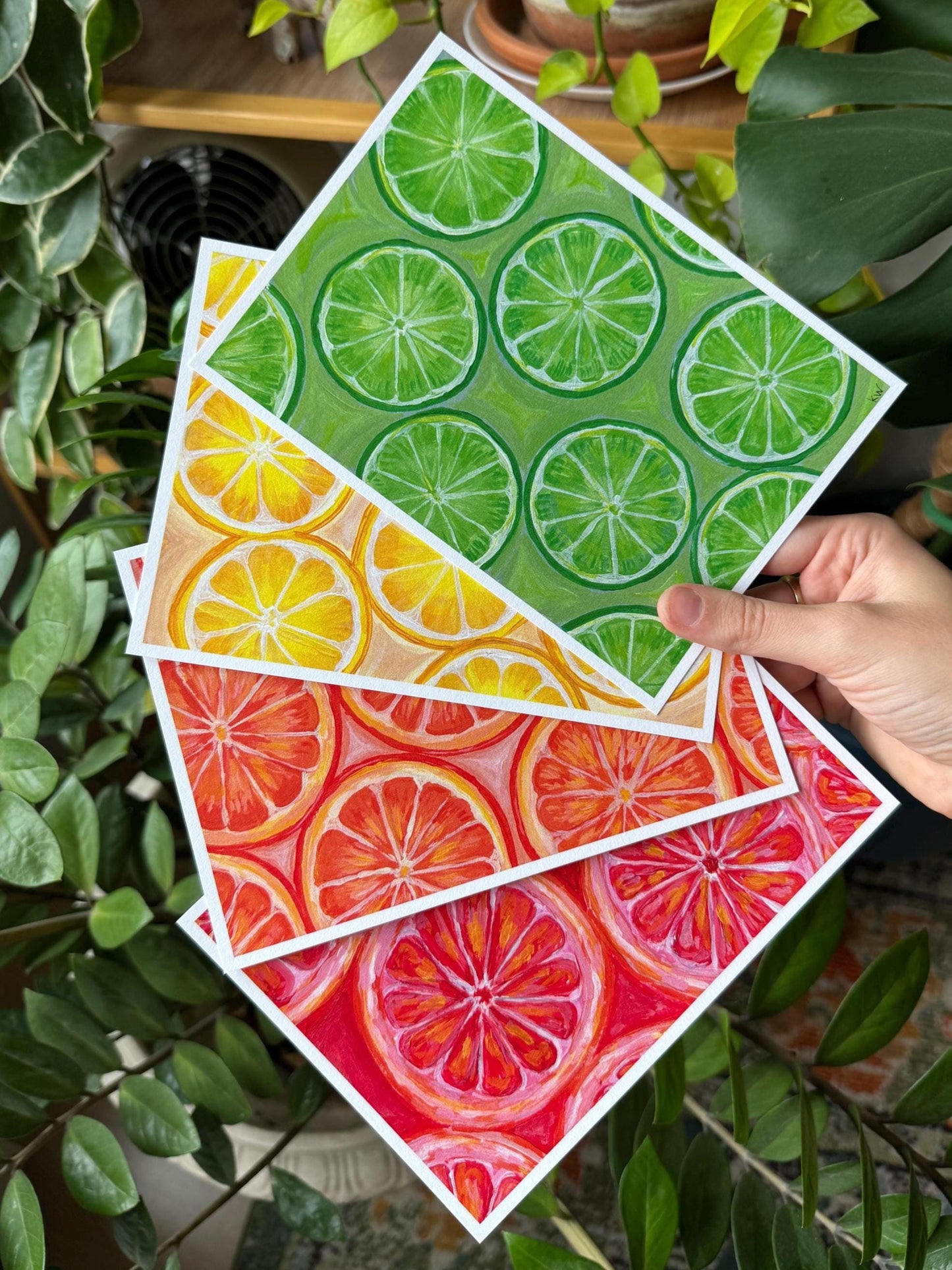 Painted Citrus Art Print Bundle of 4