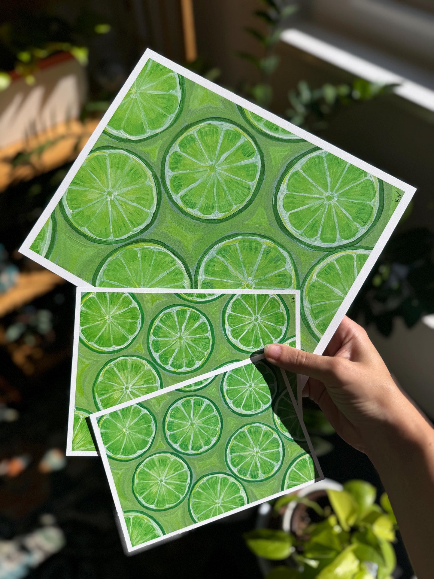 Lime Slices Art Print
