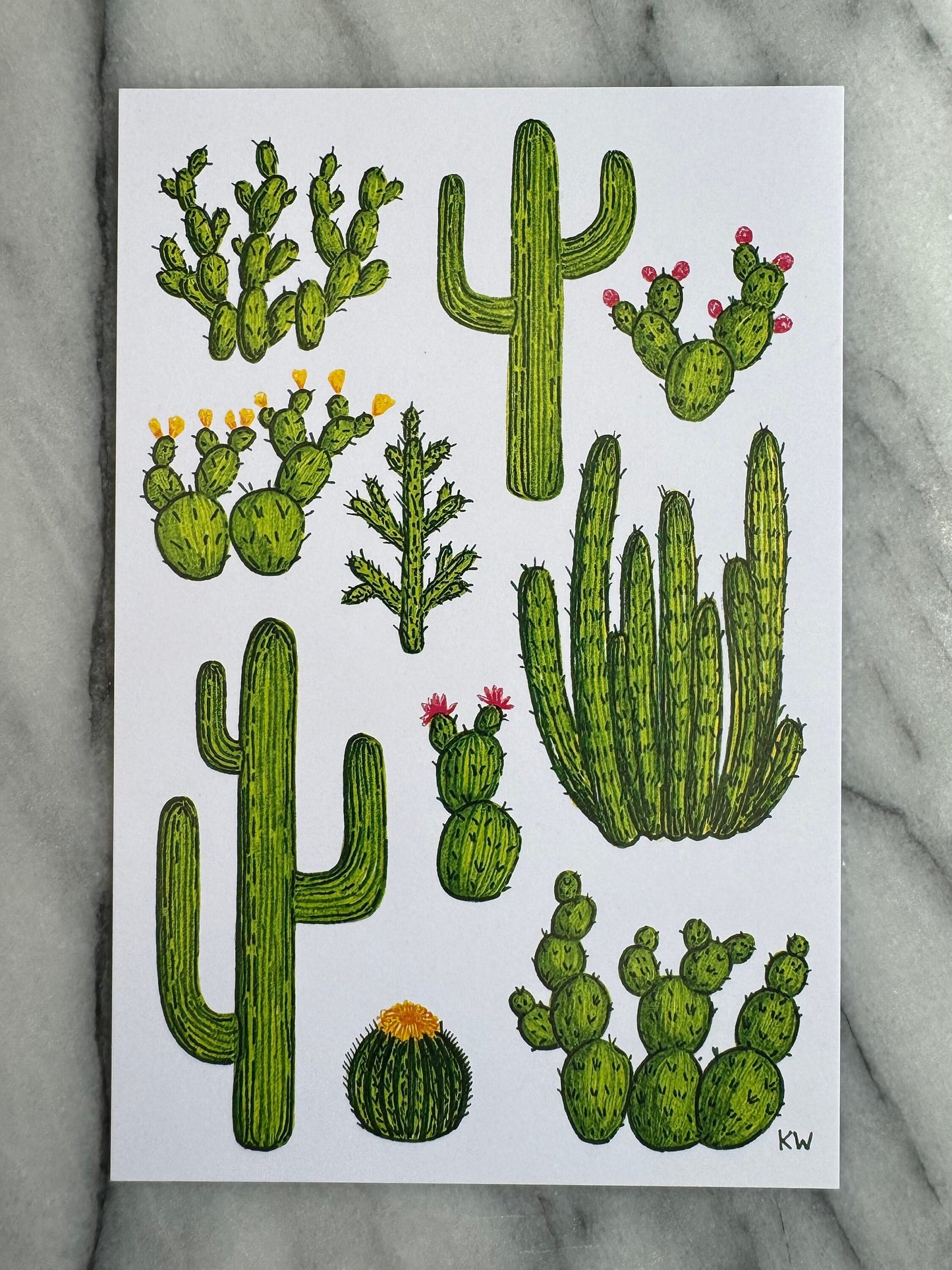 Cacti Collage Art Print