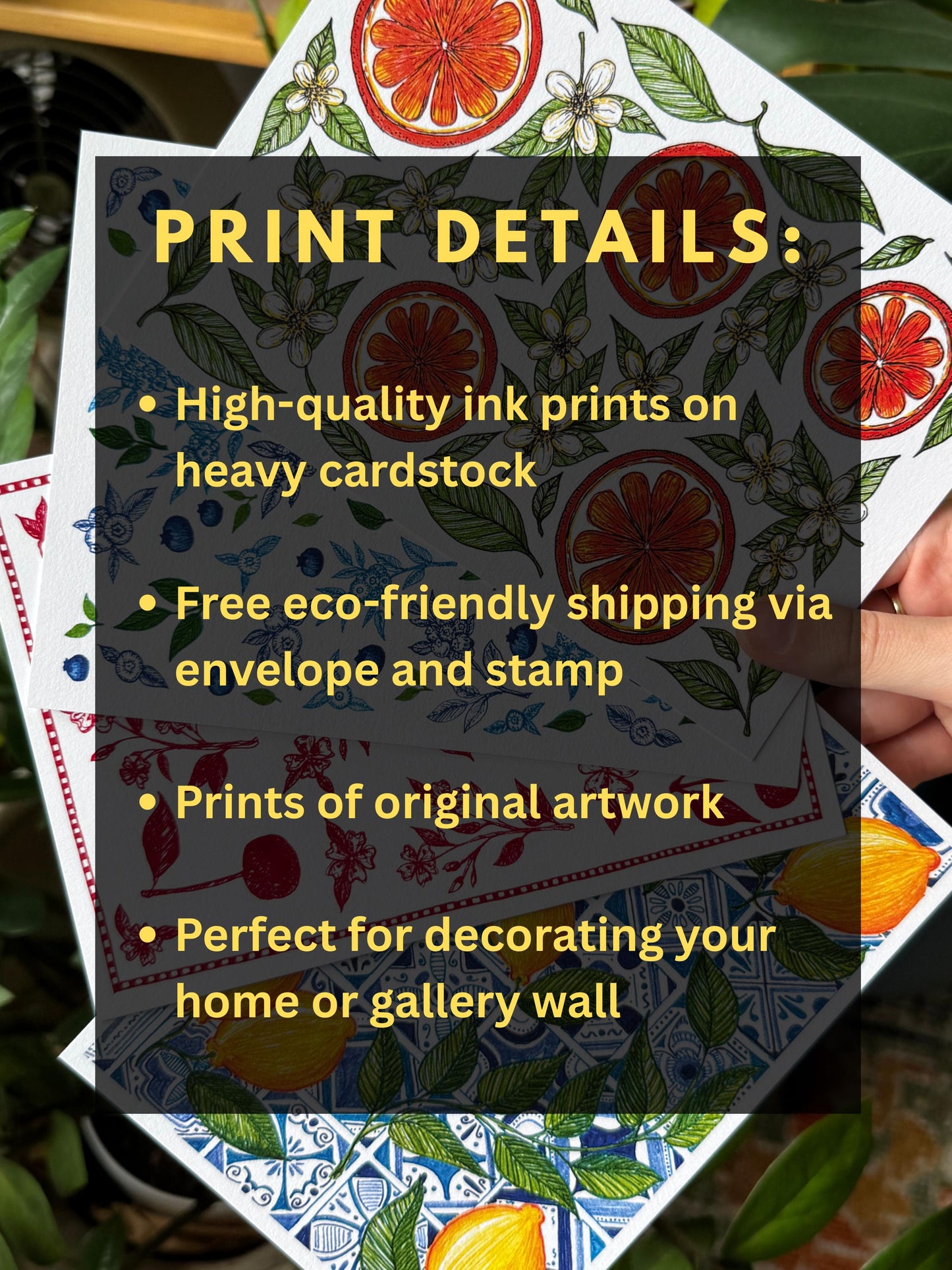 Fruit Art Prints Bundle of 4