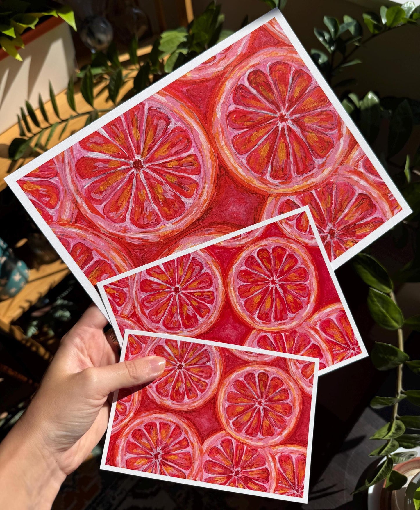 Grapefruit Slices Art Print