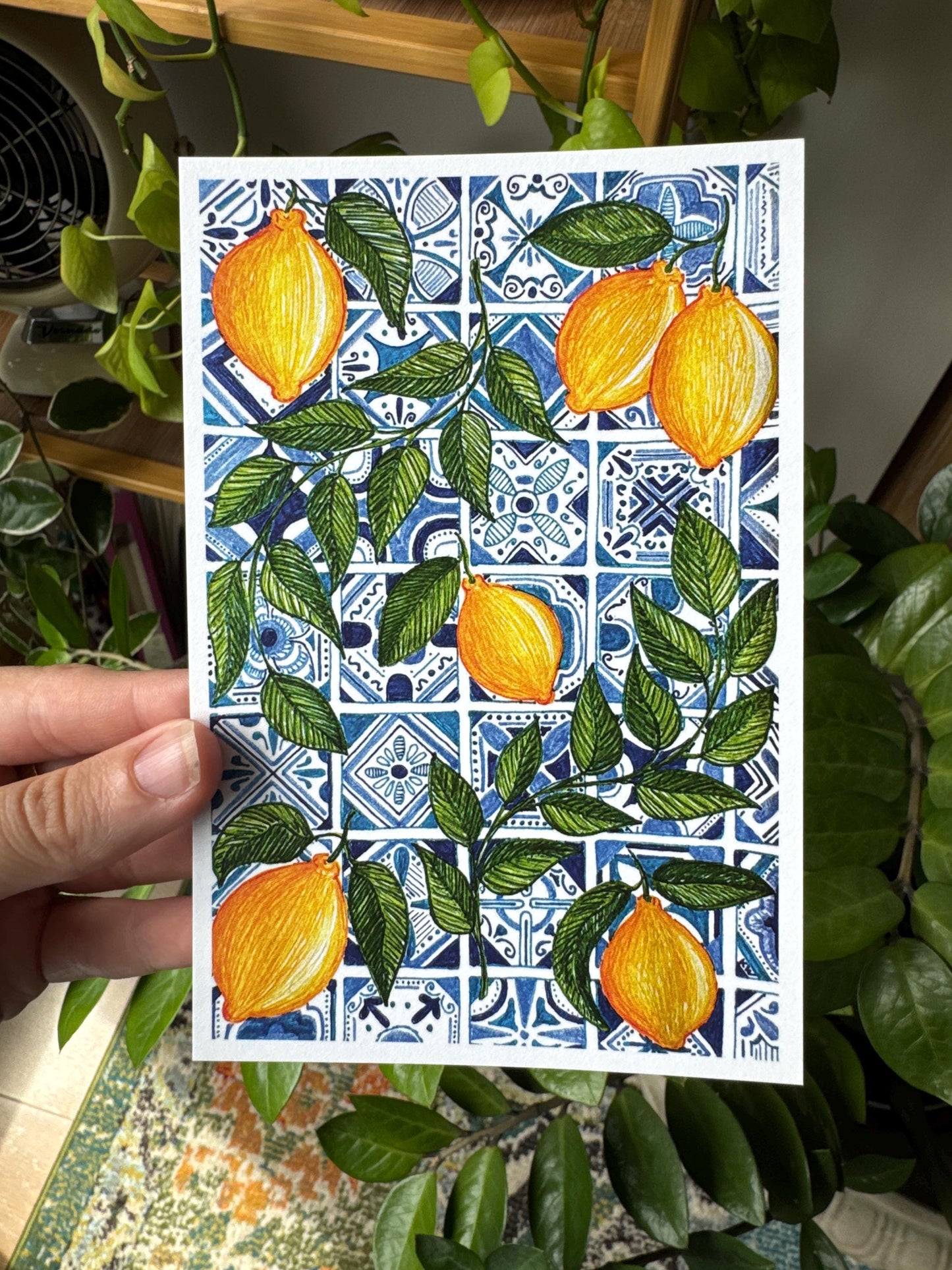 Fruit Art Prints Bundle of 4