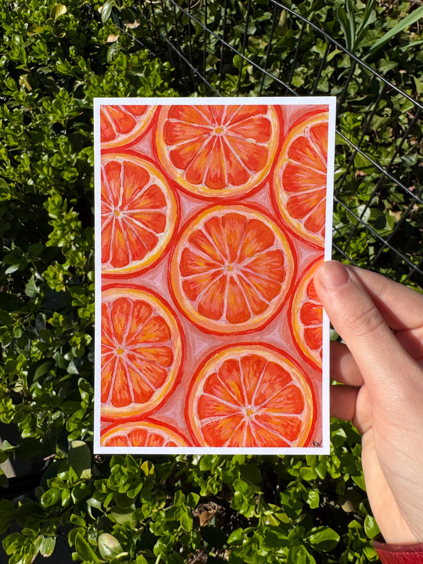 Citrus Art Print Set: Orange, Lime, Grapefruit