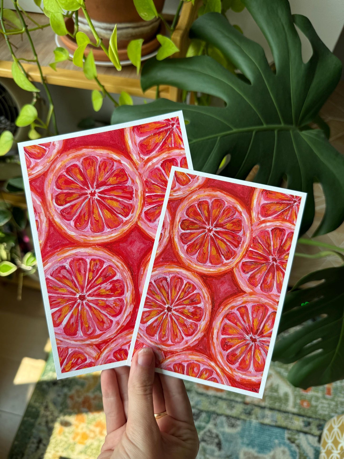 Grapefruit Slices Art Print